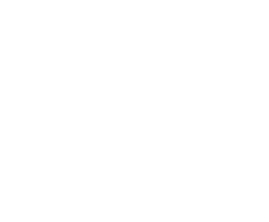 choice insurance florida