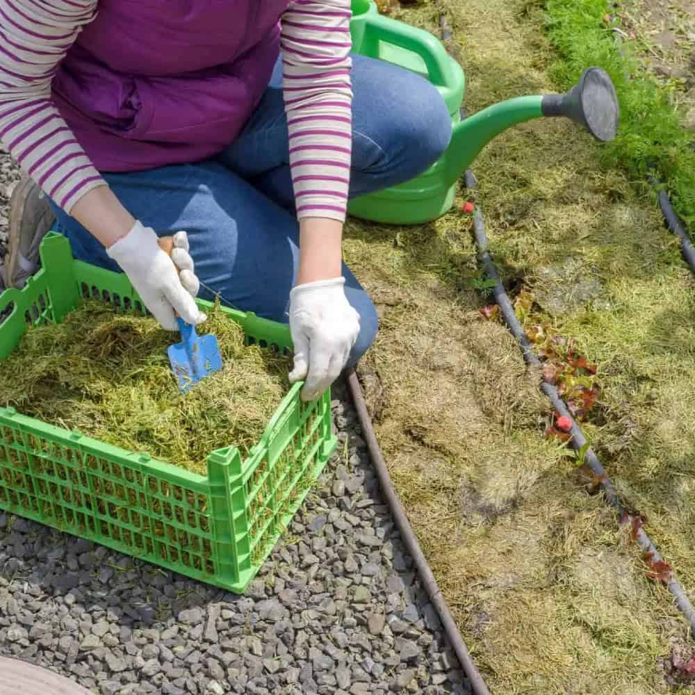 Landscaping Insurance Florida