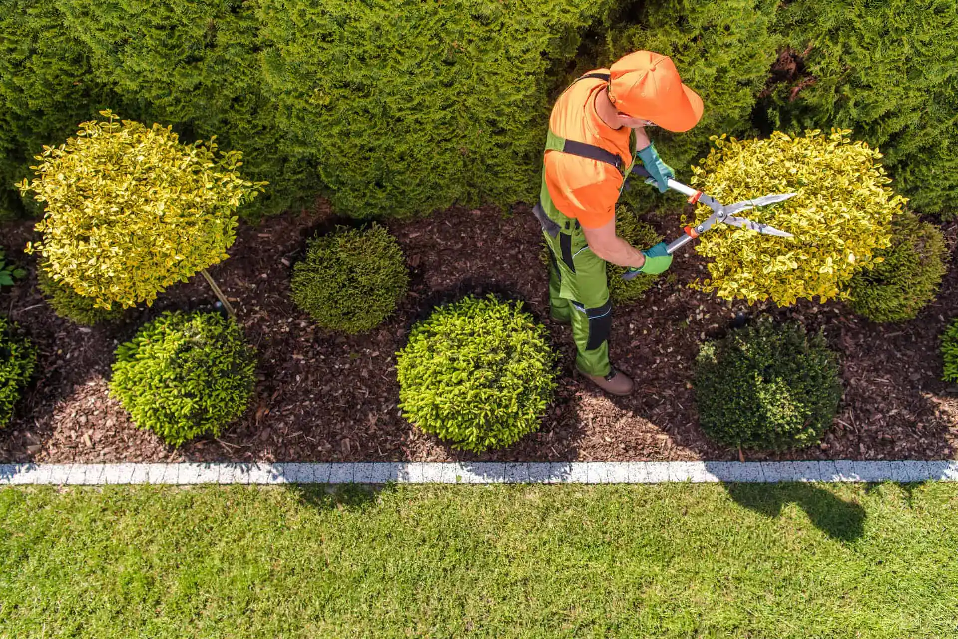 Landscaping Insurance Florida