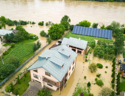 Why Flood Insurance Quotes Matter in Palmetto Bay